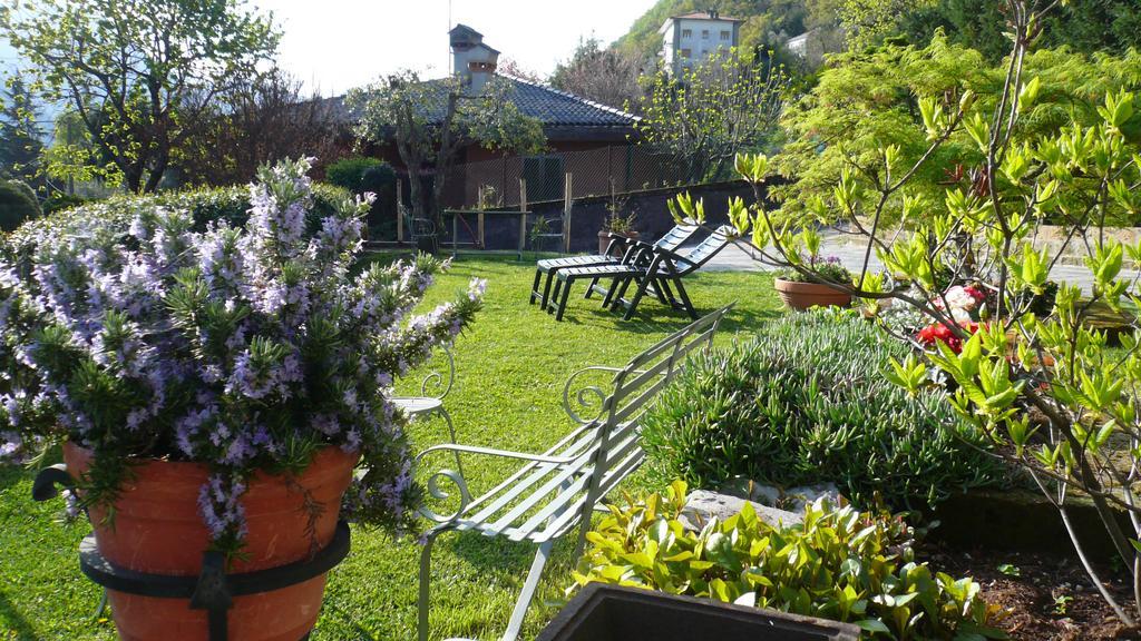 Apartament Casa Beatrice Oliveto Lario Zewnętrze zdjęcie