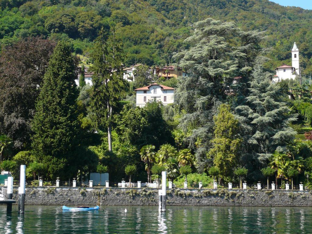Apartament Casa Beatrice Oliveto Lario Zewnętrze zdjęcie